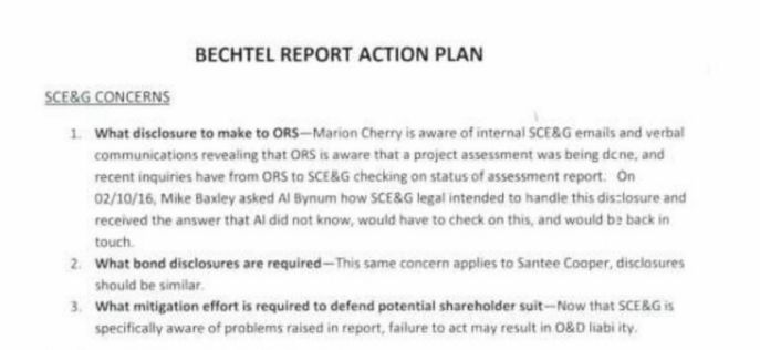 Santee Cooper Bechtel action plan